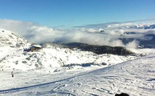 Dachsteinblick