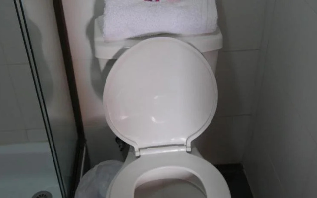 Hotel Camilo Henriquez