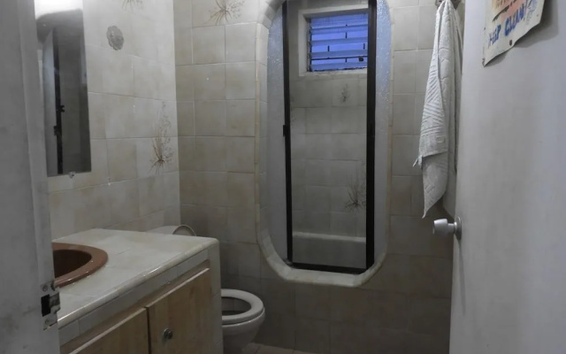 Casa Tropicalia - Hostel