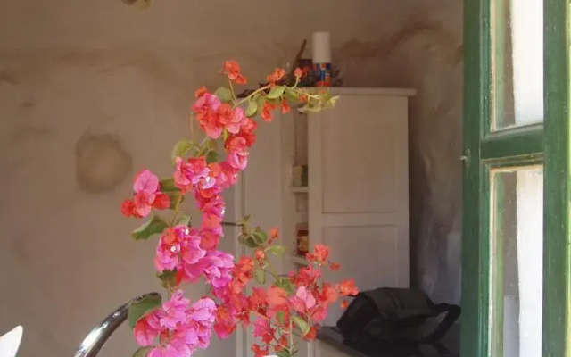 Casita jardín