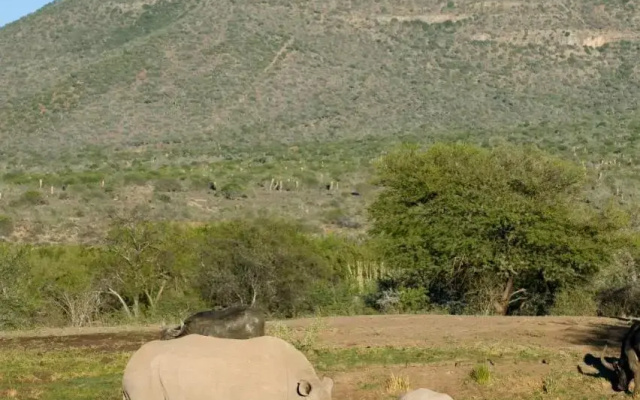 Samara Karoo Lodge