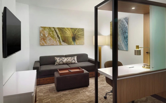 Springhill Suites By Marriott Ellijay