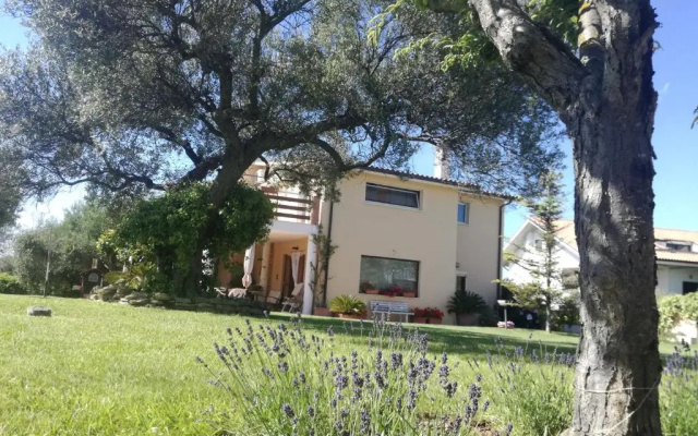 La Collina del Riccio