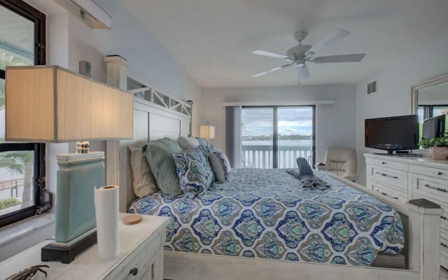 Anna Maria Island Beach Palms