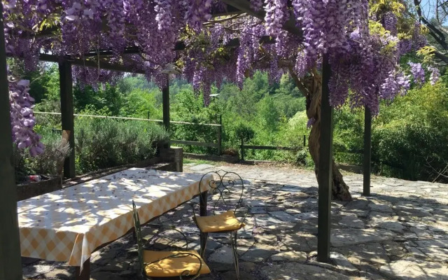 Celi Di Luna