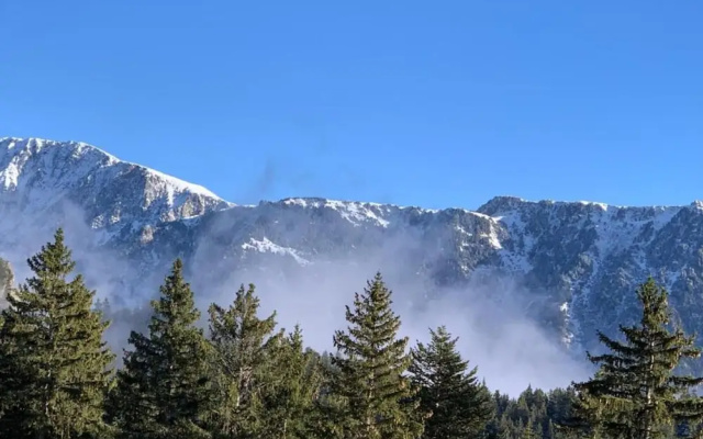 Family Escape in the Alps