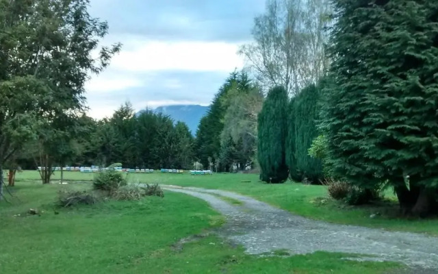 Bosque Patagonico