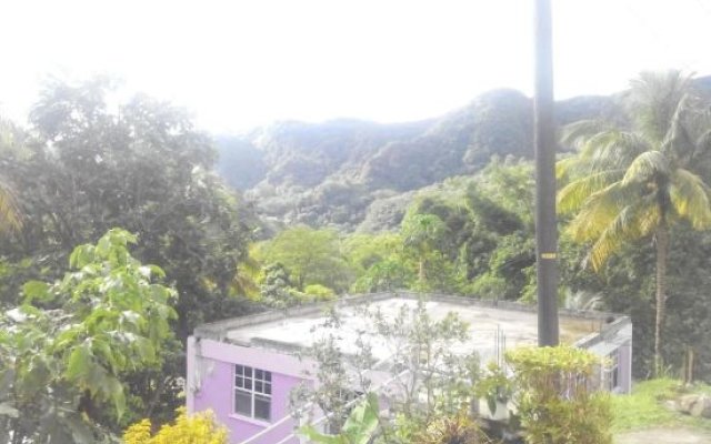 Anthurium Apartment in Massacre, Dominica from 137$, photos, reviews - zenhotels.com