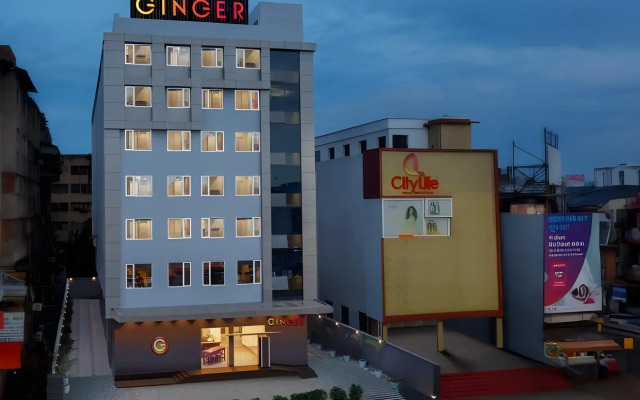 Ginger Patna