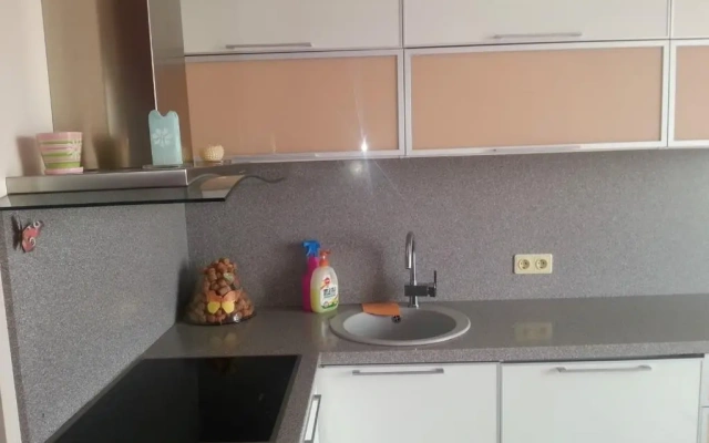 Prospekt Dzerzhinskogo 196 Appartment
