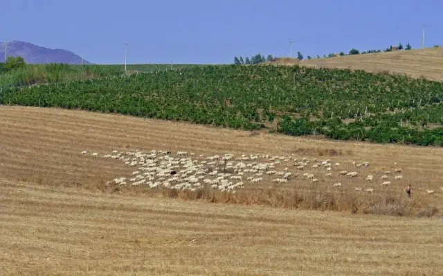 Baglio Nuovo Country Village