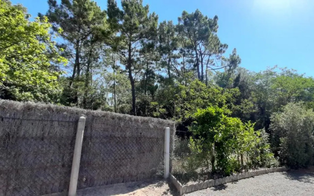 La Forêt des Rossignols - maison 4 à 6 personnes