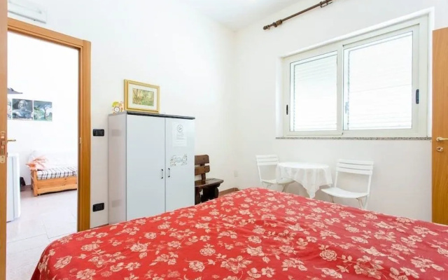 B&B Shalom