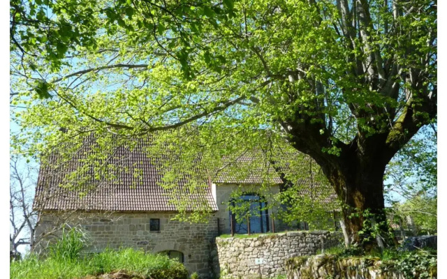 A L'Ombre Du Tilleul