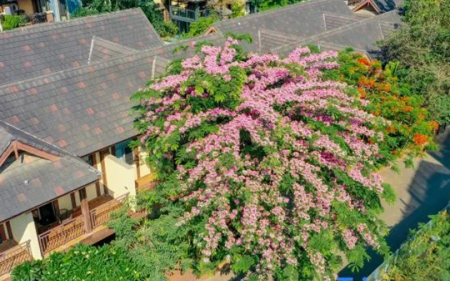 Xishuangbanna Jinghong Qianxunye Villa is a privatesingle-family villa.