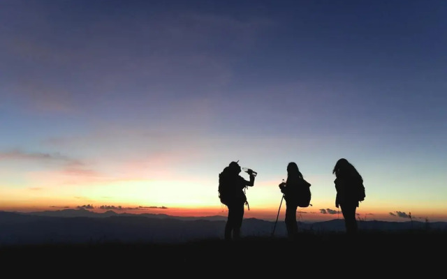 Paradise Wild Hills