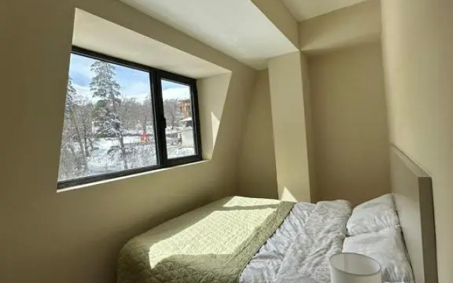 Window development apartment #32
