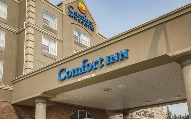 Comfort Inn And Suites South In Calgary Canada From 81 Photos