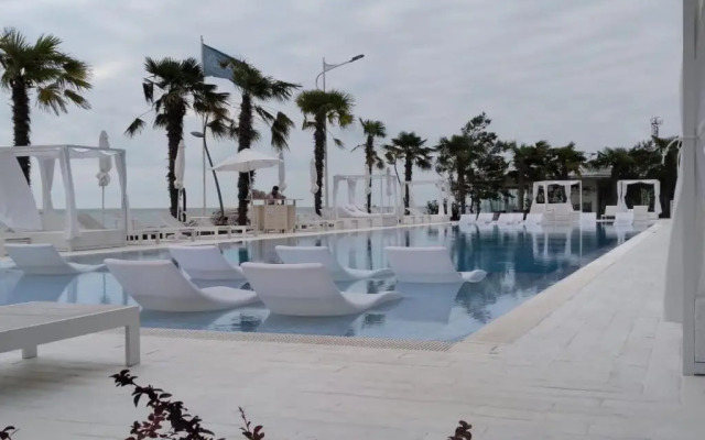 Dreamland Oasis View