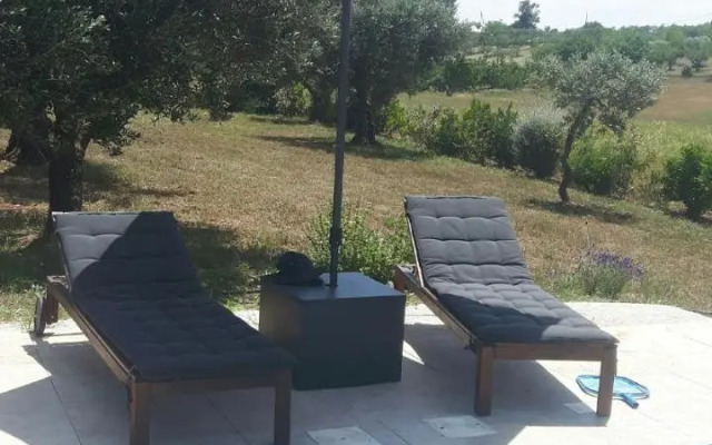Trulli Spinosa