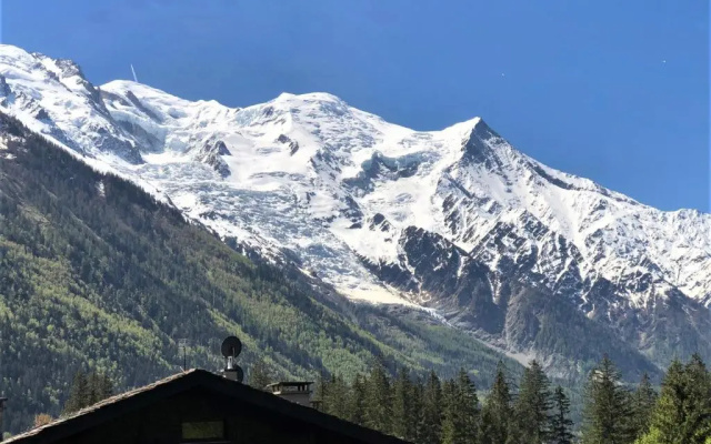 Chamonix - Superbe Appartement vue Mont Blanc