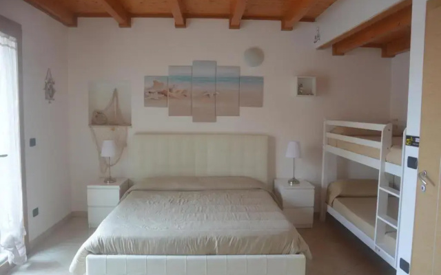 B&B Venus