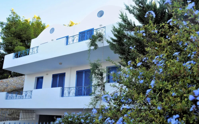 Homey Apartments