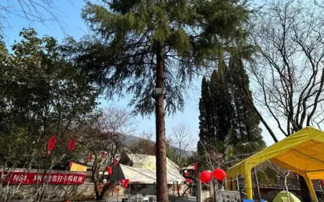 Tai Yi Dong Zhizhu homestay