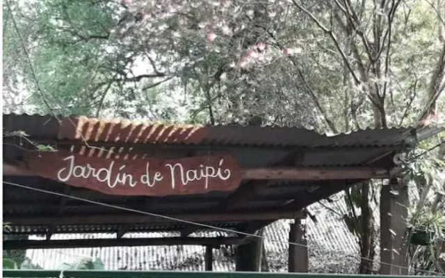 Jardín de Naipí 3