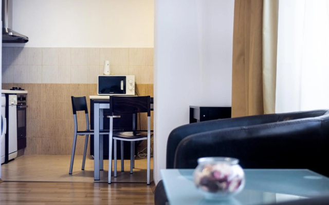 Luxury Studio Aviatiei