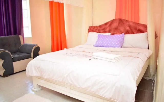 Ann Airport Home And Tour