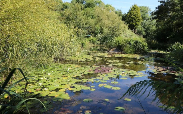 Pond Cottage