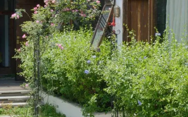 Dali Monet's Garden Retro Homestay