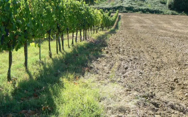 Appartamento vicino a Siena