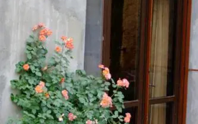 Yerevan center apartment 5A