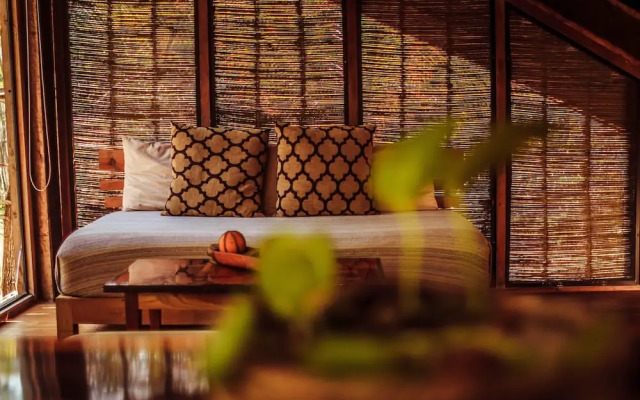 Vida Silvestre Tulum