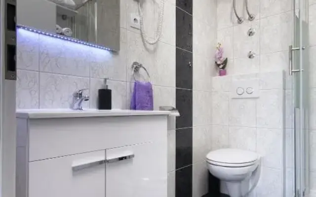 Apartment Borovac