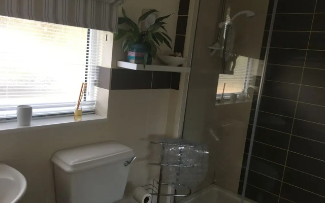 The Studio Apartments