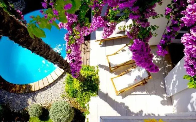 Villa Agnes