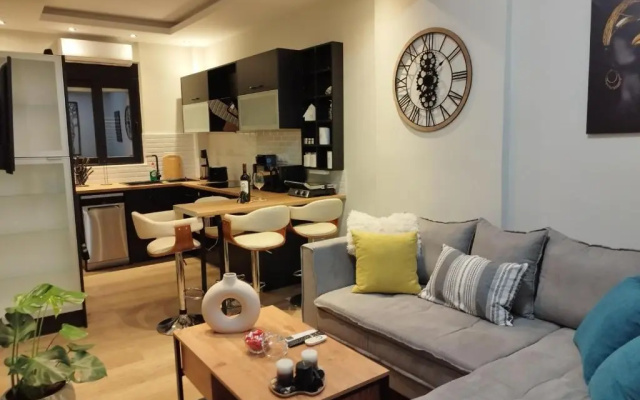 Luxurious apartment in the heart of town !