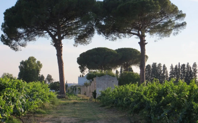 Agriturismo Occhineri