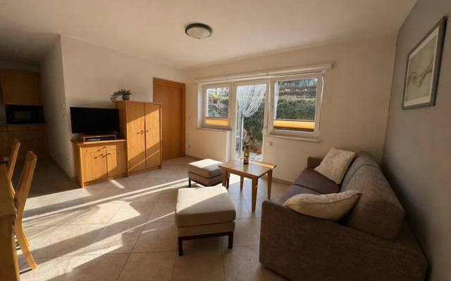 Apartment With Terrace in Hollersbach