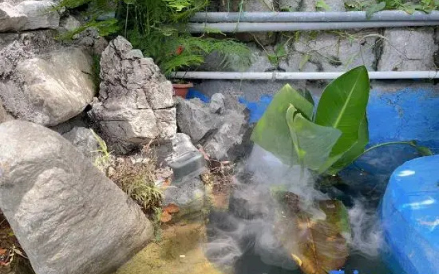 Xiamen Haicang Hade Courtyard Homestay
