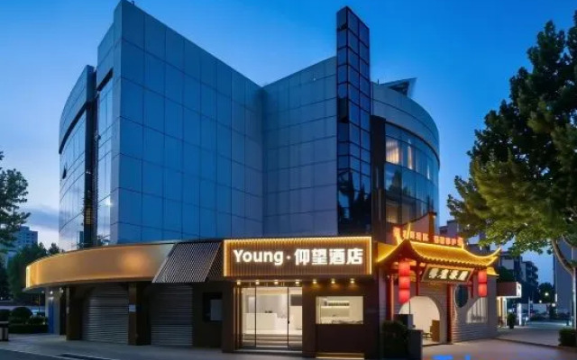 Young Lookingfor Hotel