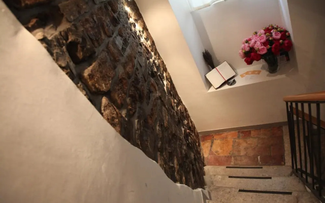 Casa Trauner