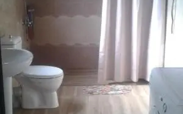Guesthouse Markoz Achareli 65