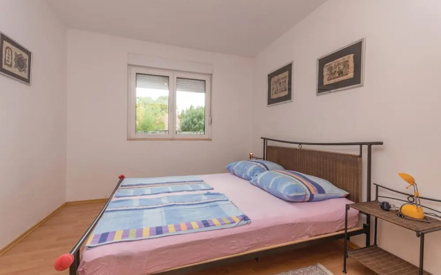 Nice Home in Donji Karin With Wifi and 3 Bedrooms