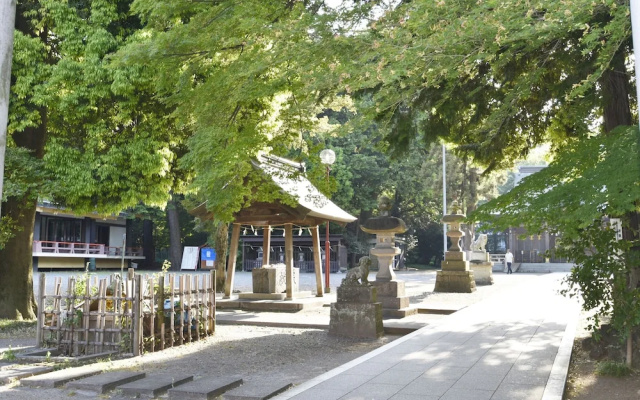 hotelImage