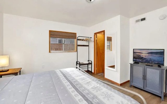 Sugar Bear Pines #2493