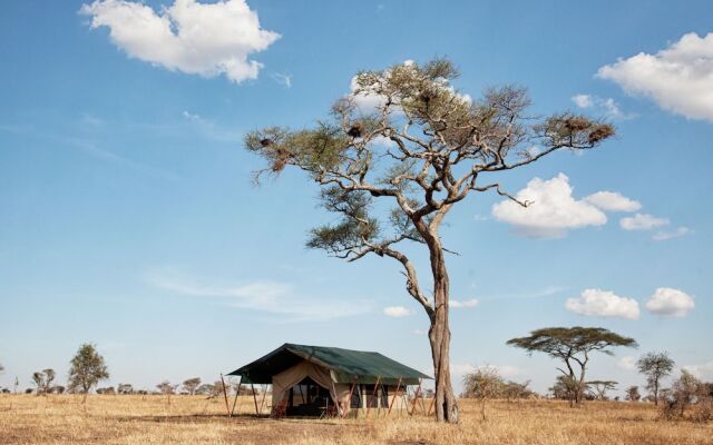 Pumzika Luxury Safari Camp - East Africa Camps in Serengeti